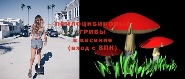 хмурый Вязьма