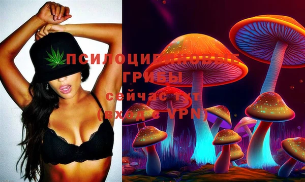 хмурый Вязьма
