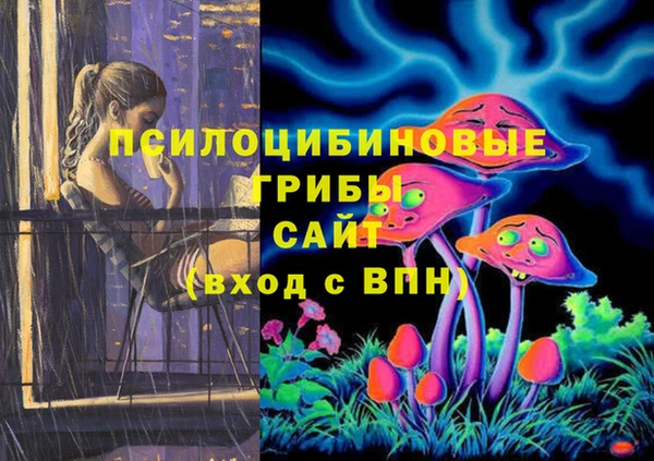 хмурый Вязьма